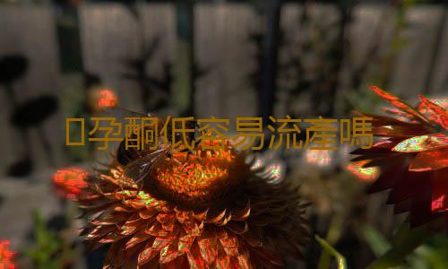 孕酮低容易流產嗎
